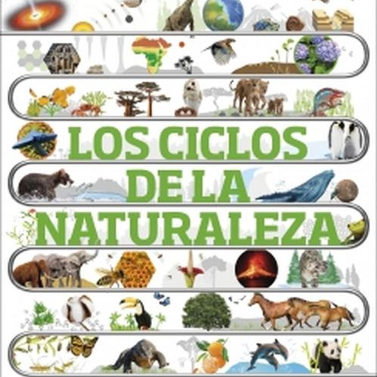 EDITORIAL DK - Libro Los ciclos de la naturaleza - Autores Dk