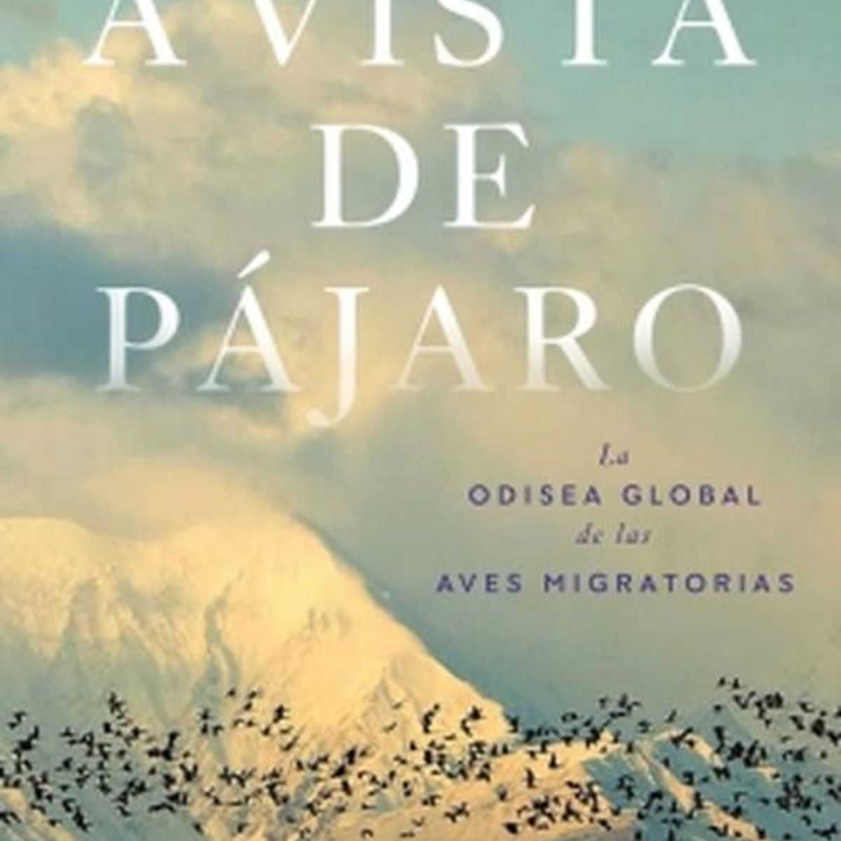 DEBATE - Libro A vista de pájaro - SCOTT WEIDENSAUL