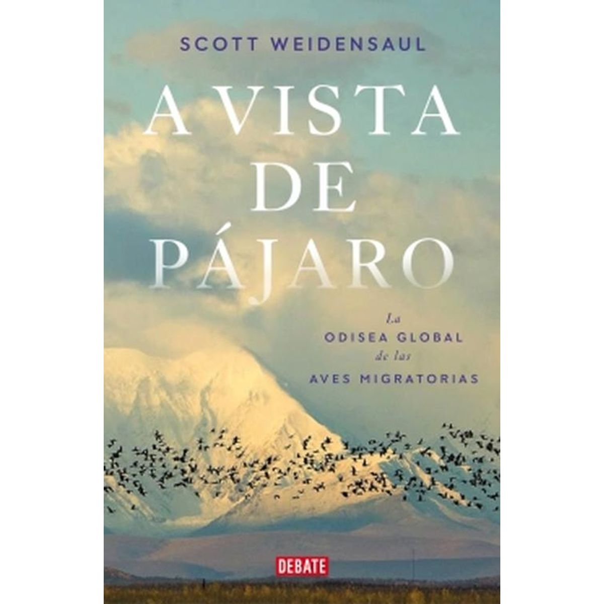 DEBATE - Libro A vista de pájaro - SCOTT WEIDENSAUL