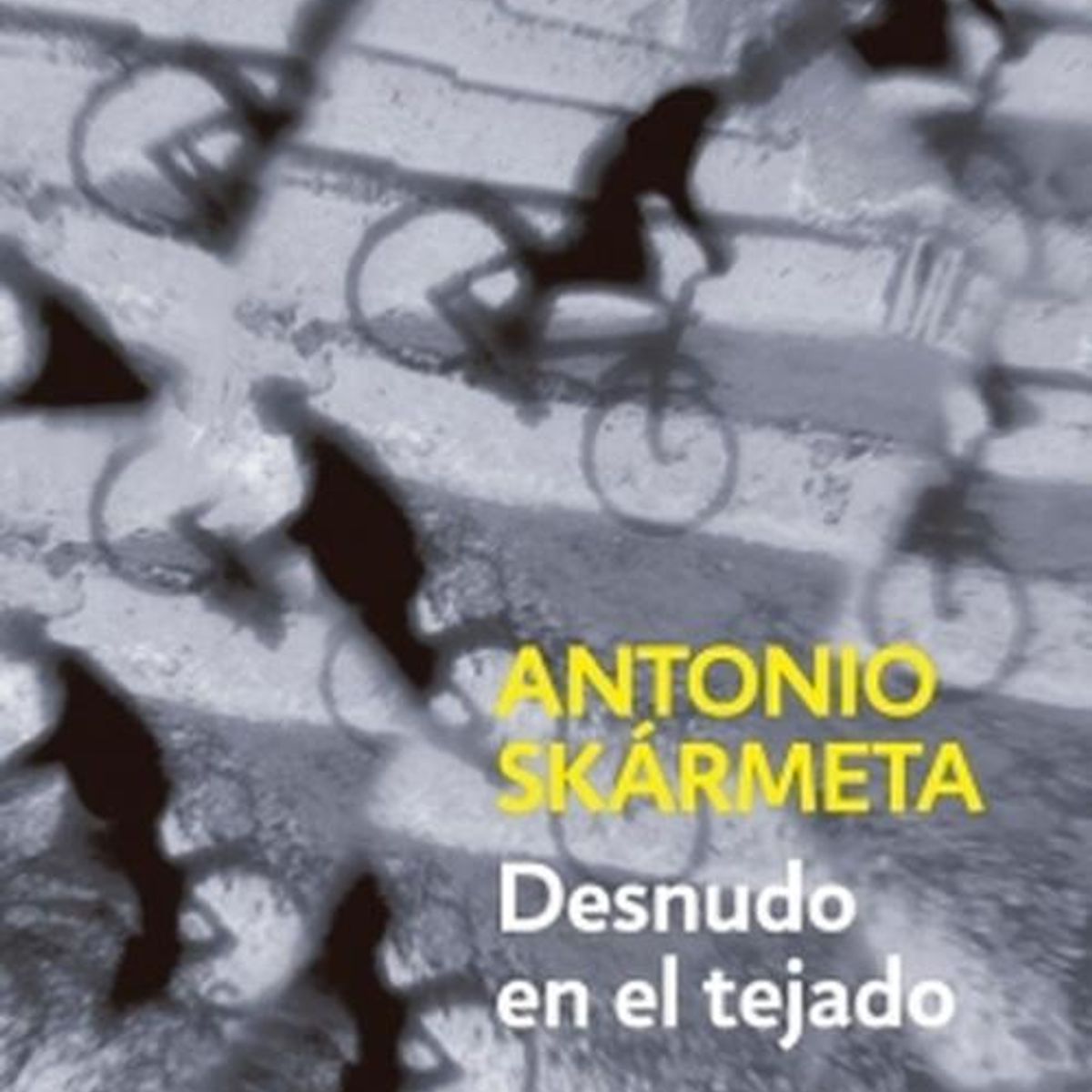 DEBOLSILLO - Libro Desnudo en el tejado - Antonio Skármeta