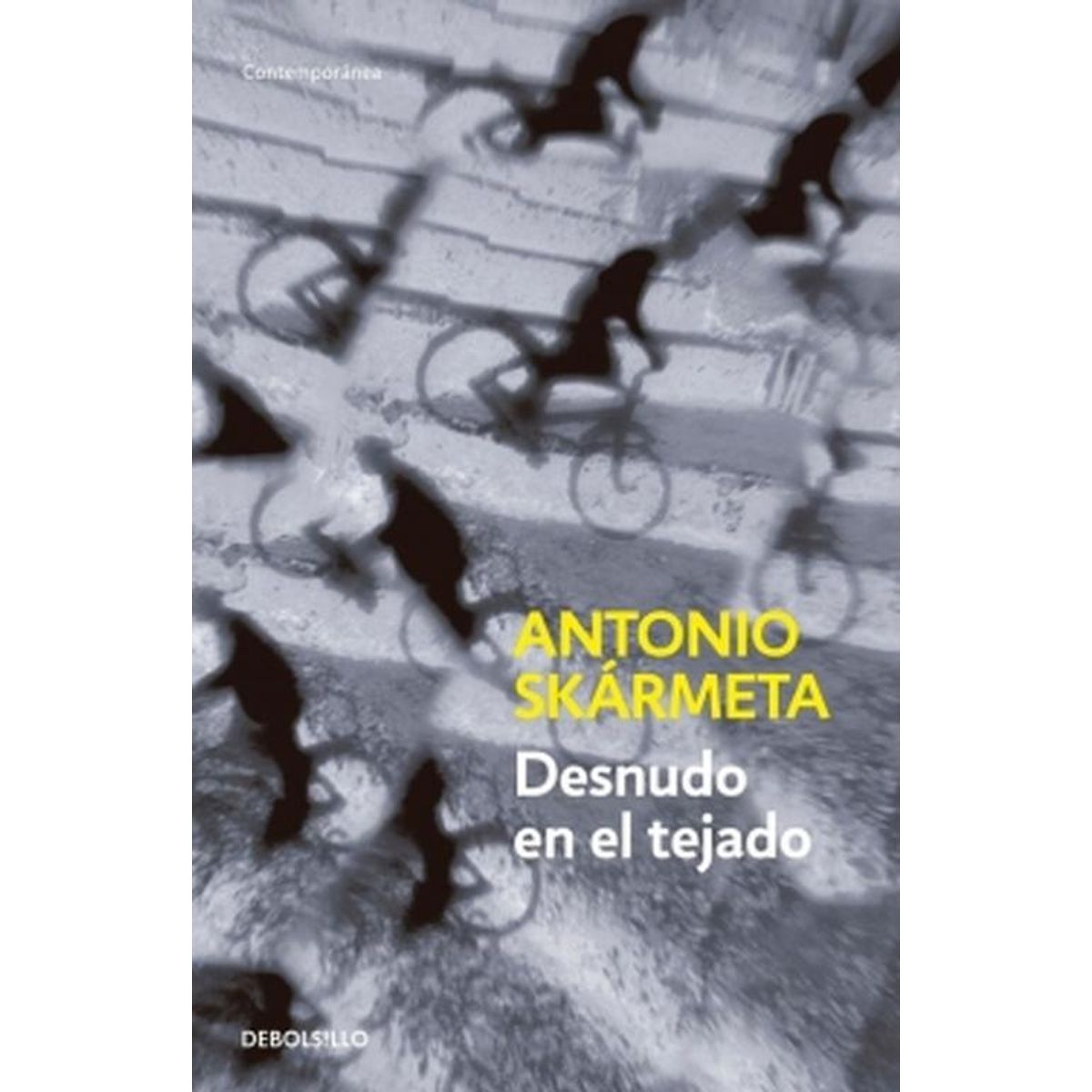 DEBOLSILLO - Libro Desnudo en el tejado - Antonio Skármeta