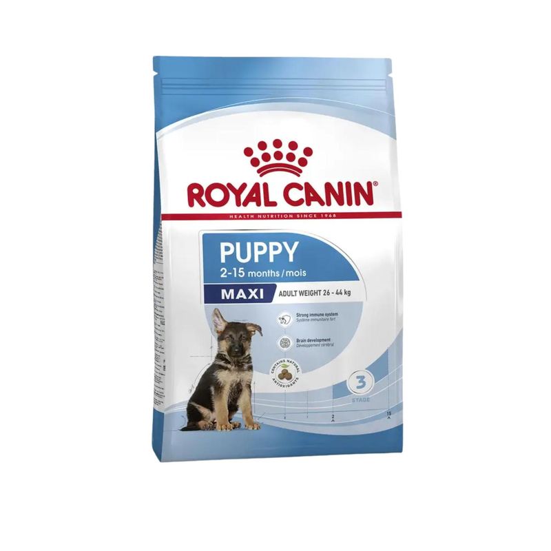ROYAL CANIN - Royal Canin Maxi Puppy Cachorro Perro 4 kg