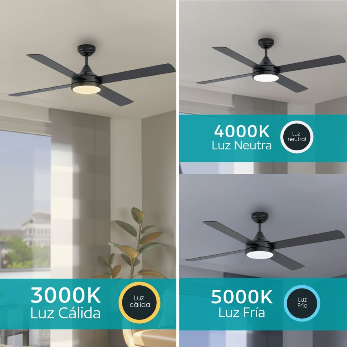 EGLO - Ventilador de Techo Trinidad Control Remoto luz led regulable aspas reversibles