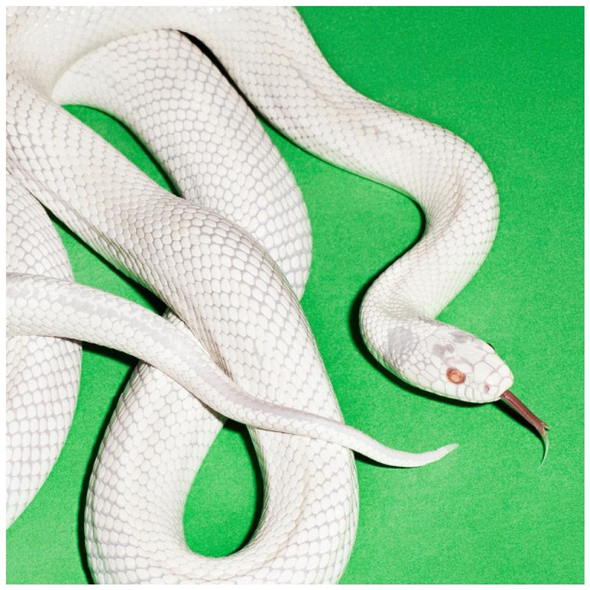 HITWAY MUSIC - DEFTONES - PRIVATE MUSIC LIMITED EDITION CLEAR VIN - VINILO