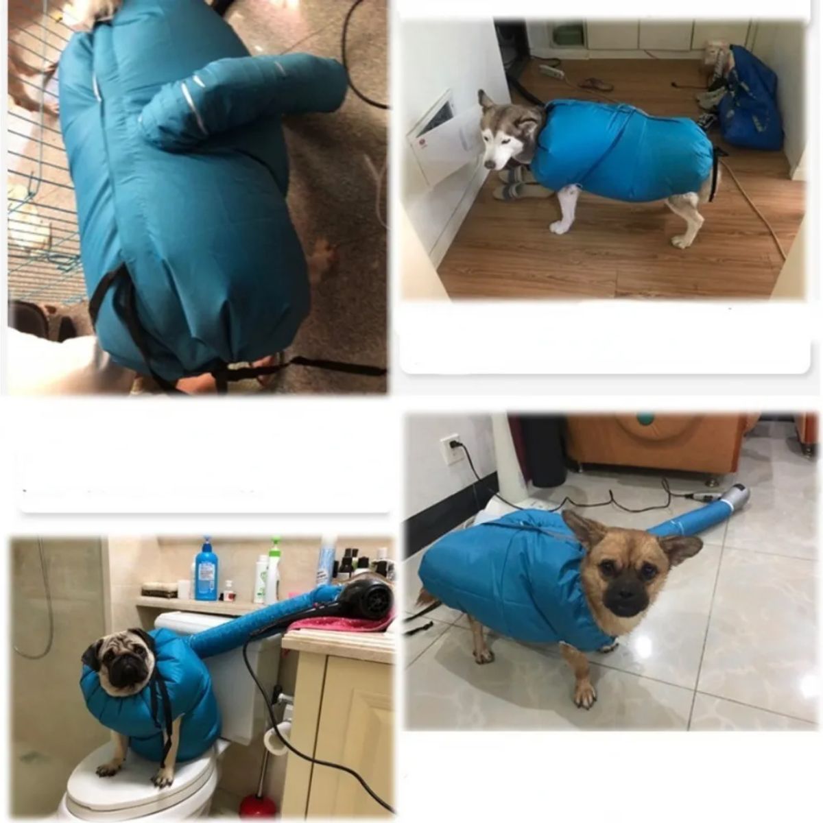 GENERICO - Saco Secador De Pelo Para Mascotas Traje Secador