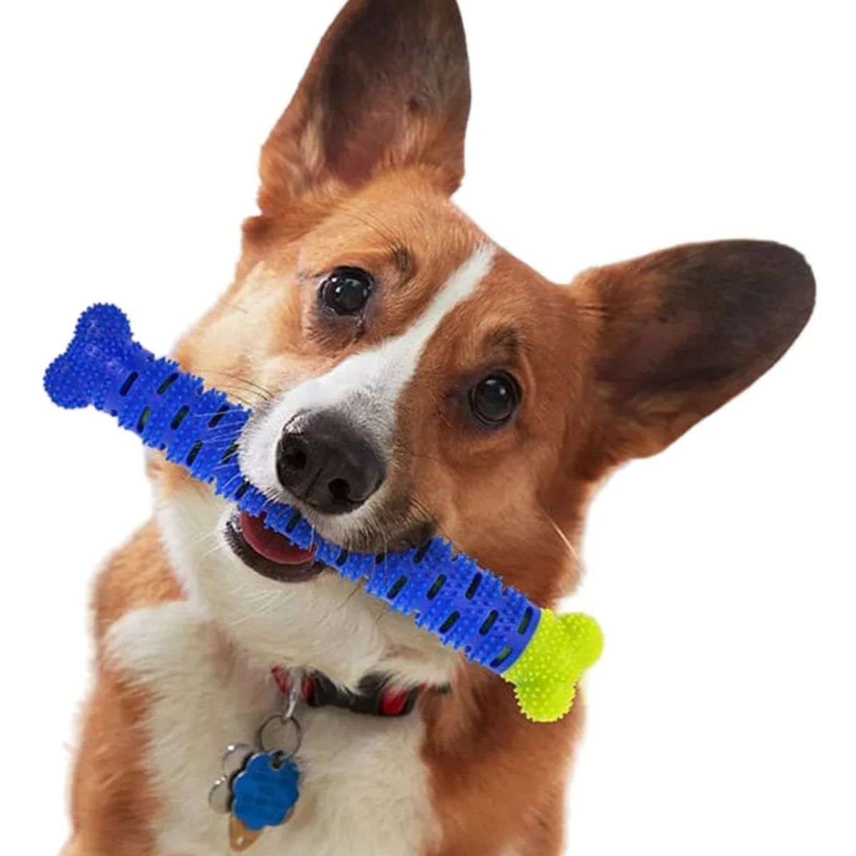 GENERICO - Juguete Hueso Para Perros Cepillo Limpieza Dental