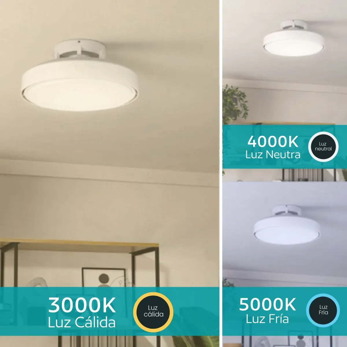 EGLO - Ventilador Techo Pared Morenci Control Remoto luz led regulable DM480