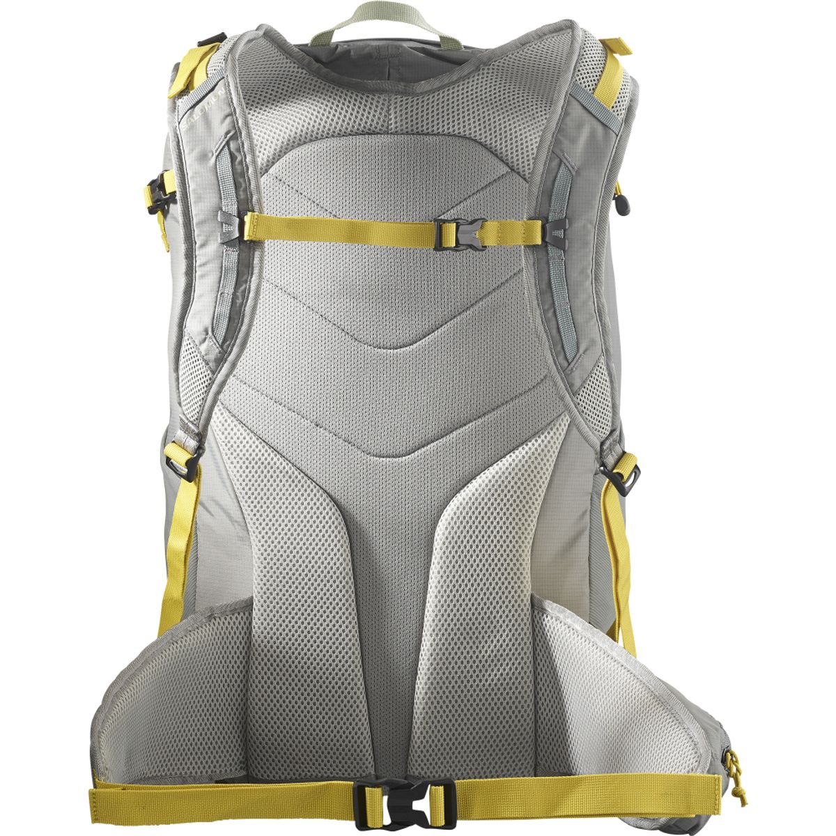 SALOMON - Mochilas Trekking Trailblazer 30 Gris Salomon