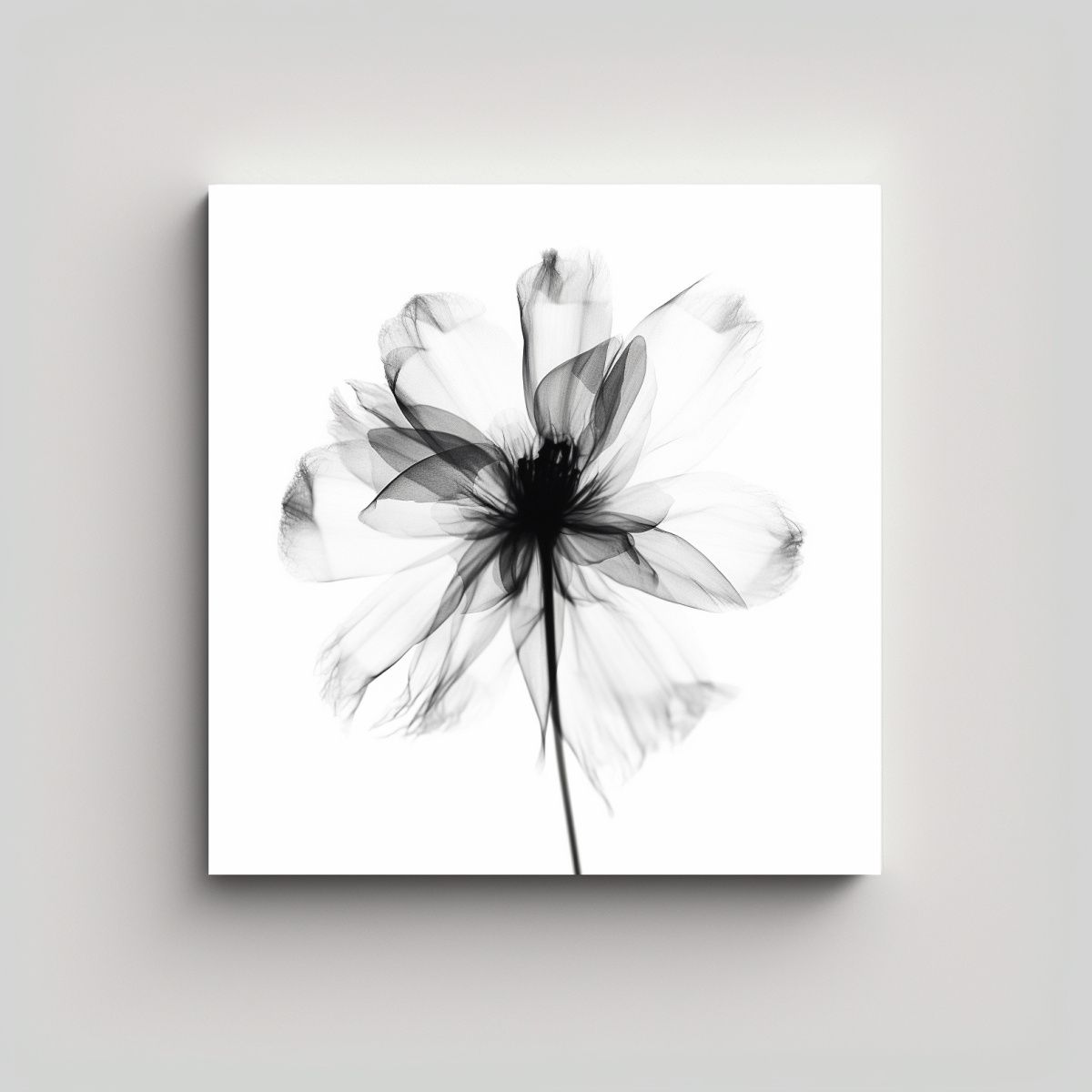 GENERICO - Cuadro De Composición Con Contraste Rayos X De 60x60 Cm