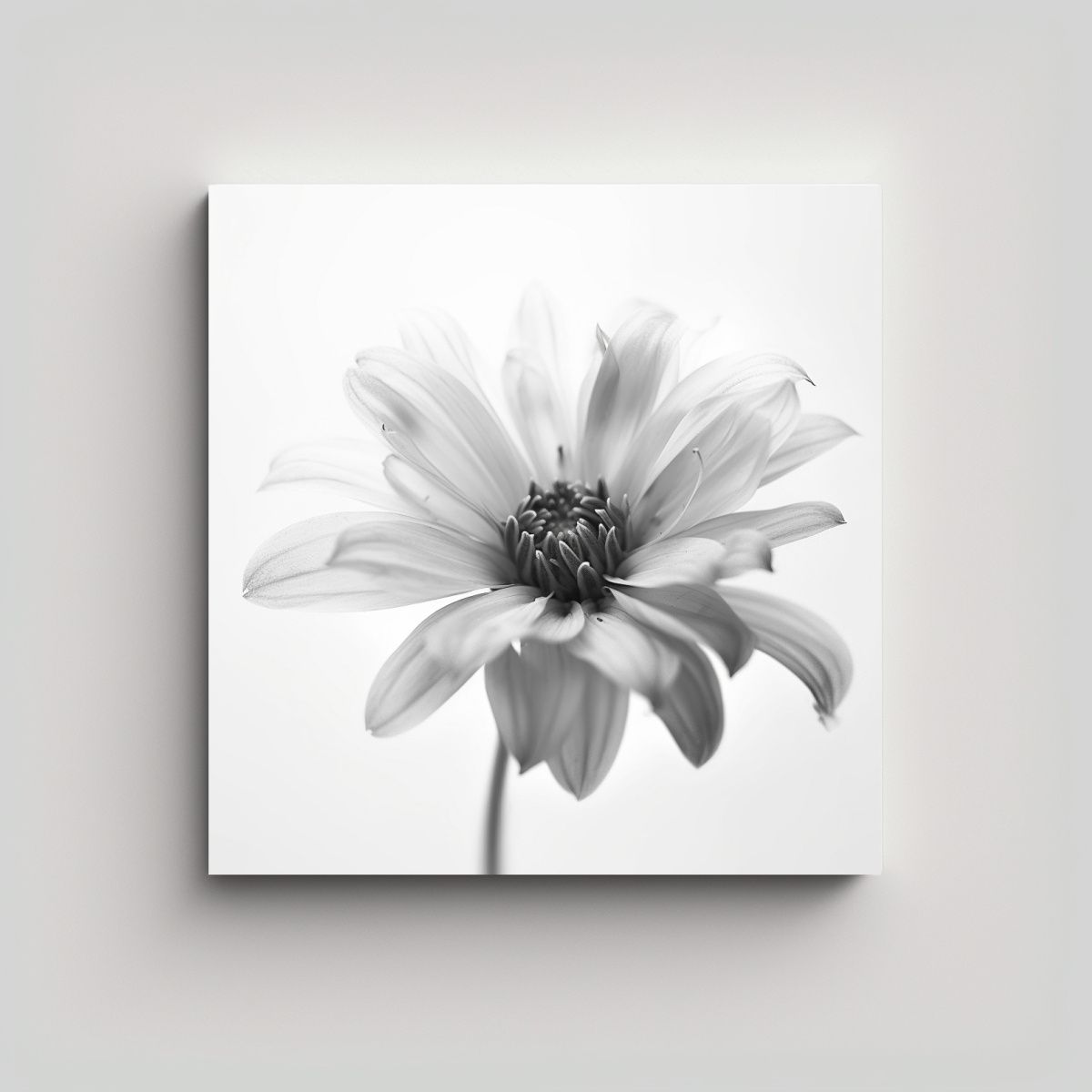 GENERICO - Diseño Minimalista De Alta Resolución En Lienzo 60x60 Cm