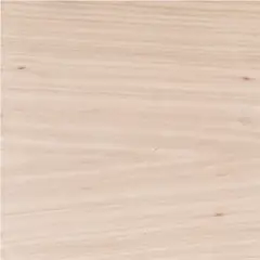 EPA - Aglomerado ench coigue precompuesto 15mm 2.40x1.50