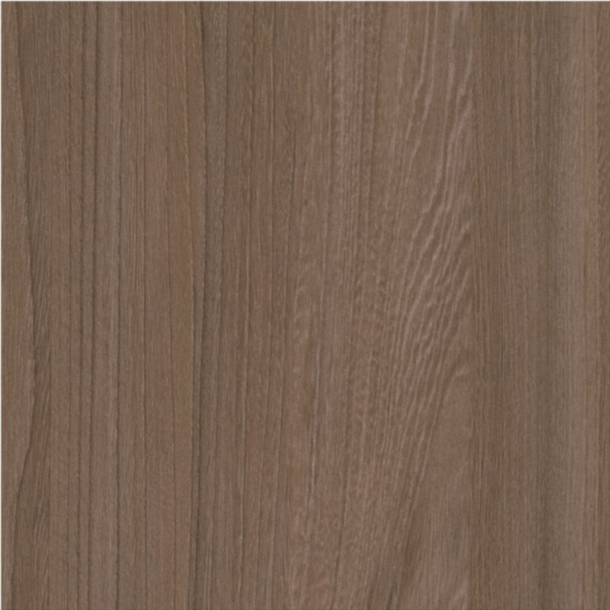LAMITECH - Lamina PF8 olive elm pore 1,22x3,06mt 1503