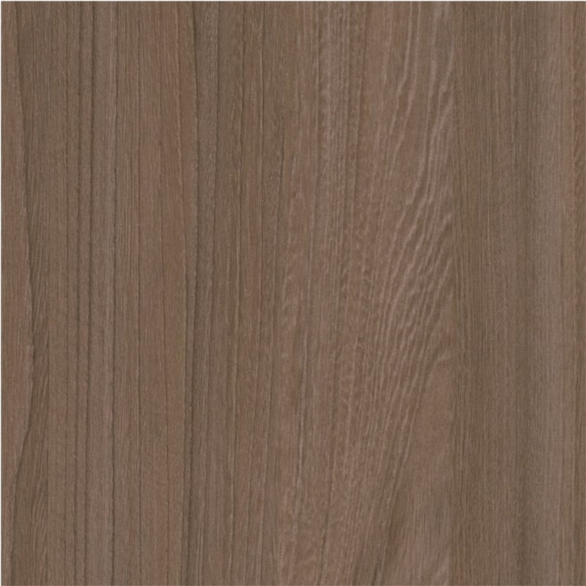 LAMITECH - Lamina PF8 olive elm pore 1,22x3,06mt 1503