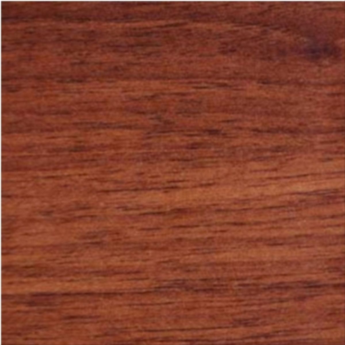 MASISA - Melamina nogal amazonico softwood 15mm 183x250mt