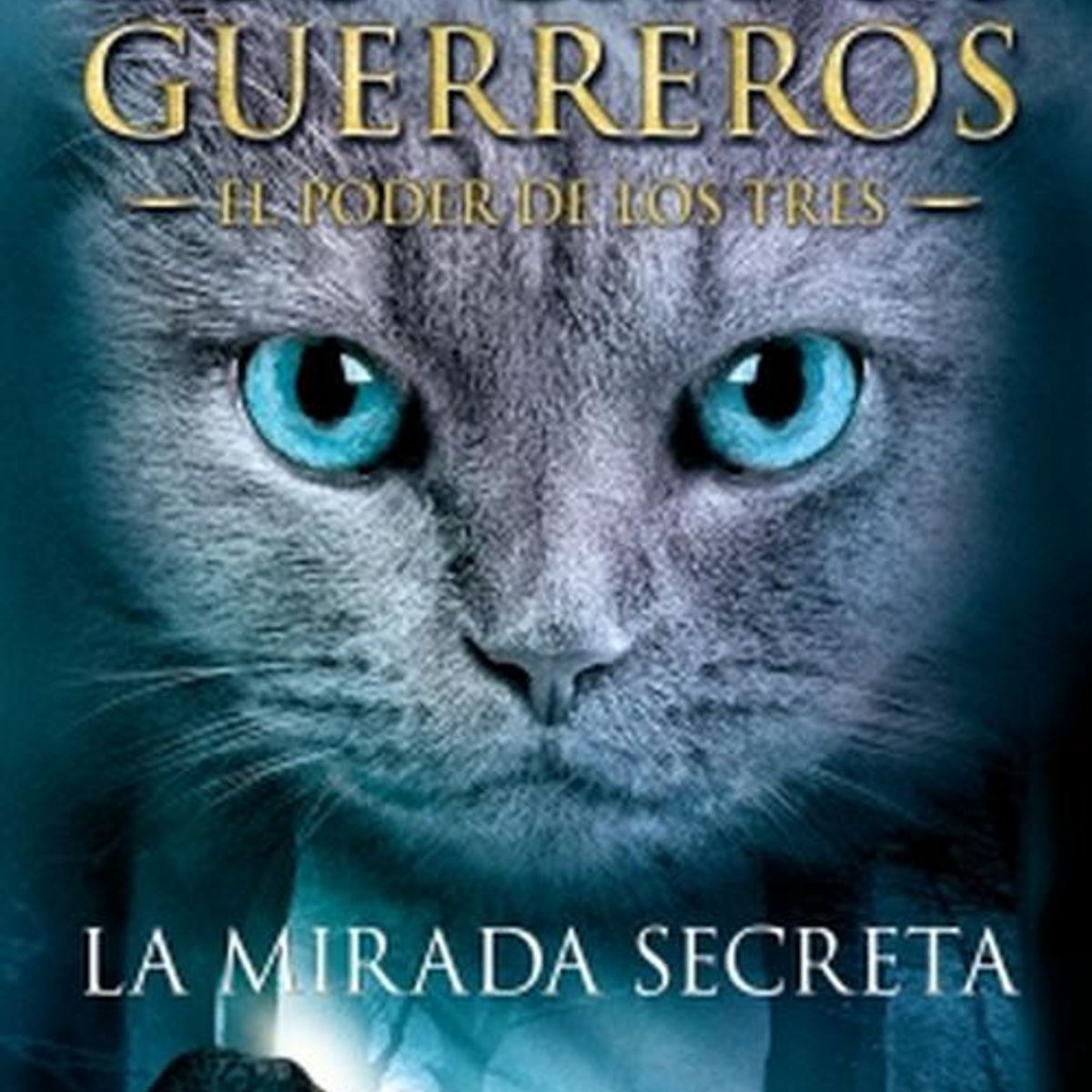 SALAMANDRA - Libro La mirada secreta - Erin Hunter