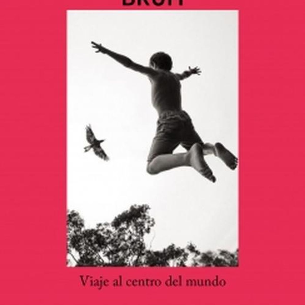 SALAMANDRA - Libro La amazonía - Eliane Brum