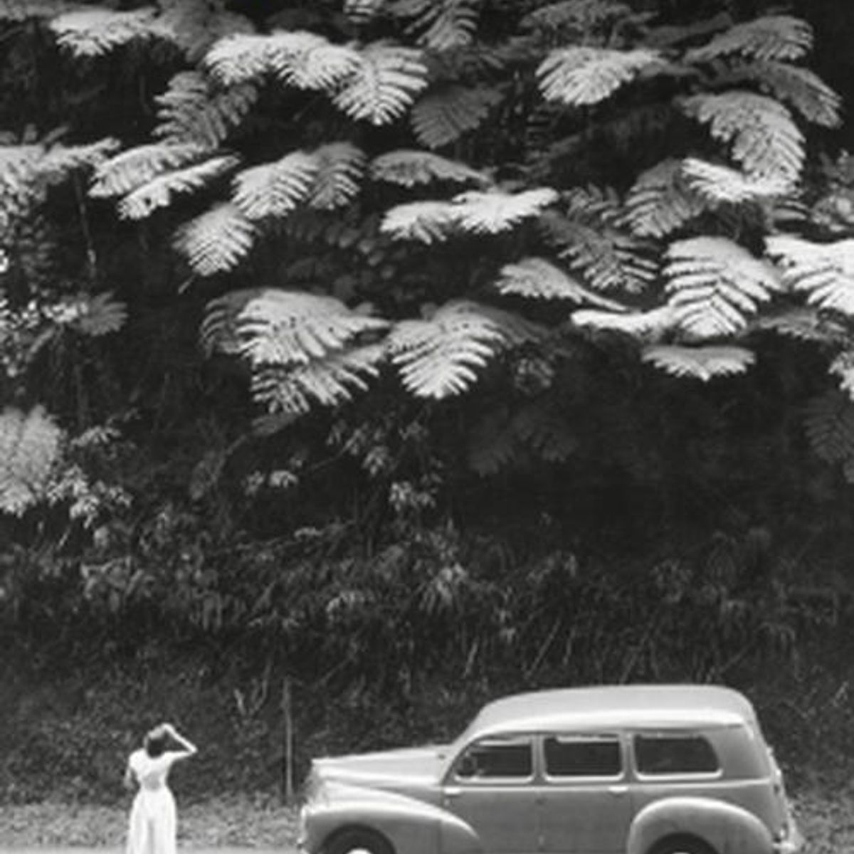 RANDOM HOUSE - Libro Los afectos - Rodrigo Hasbún