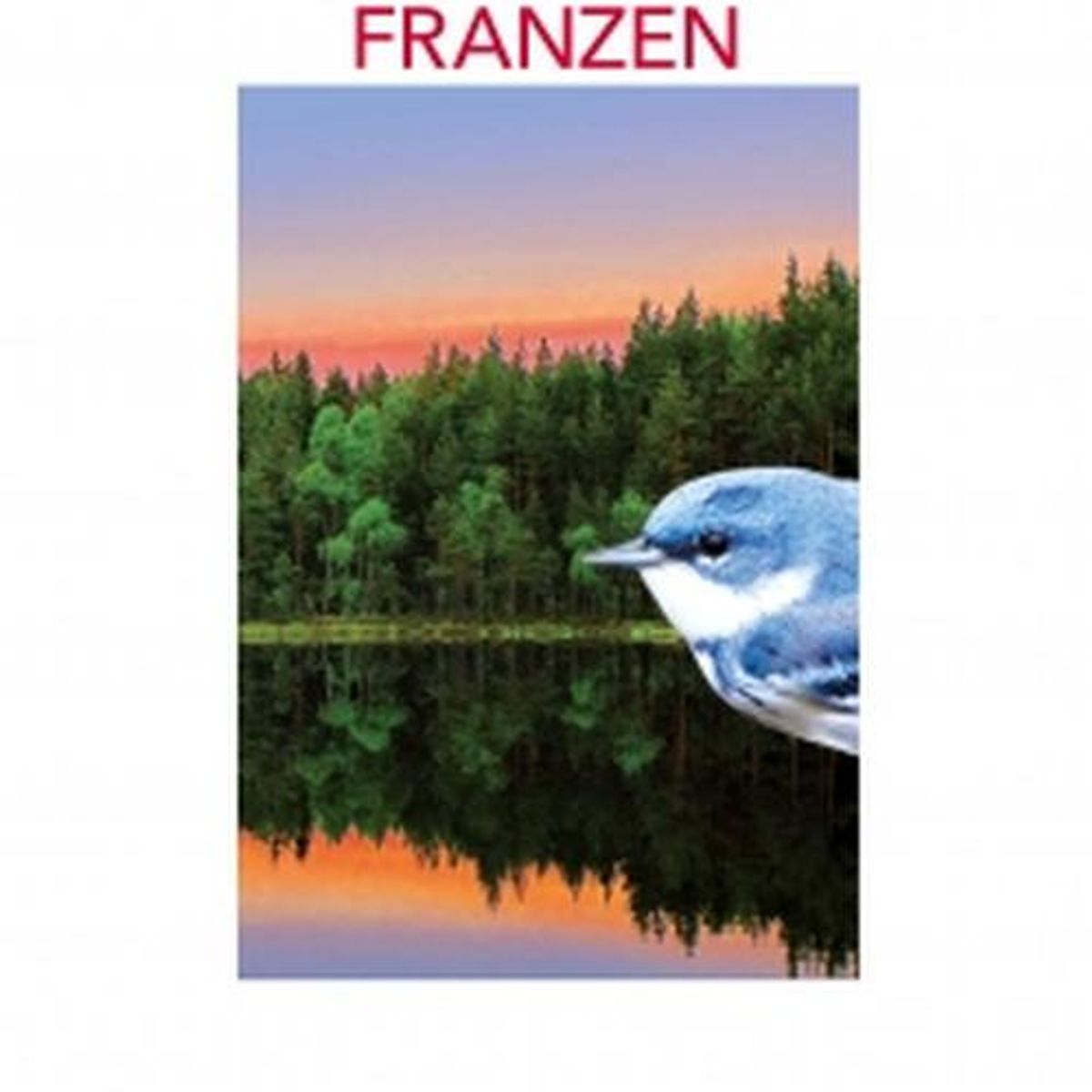 SALAMANDRA - Libro Libertad - Jonathan Franzen