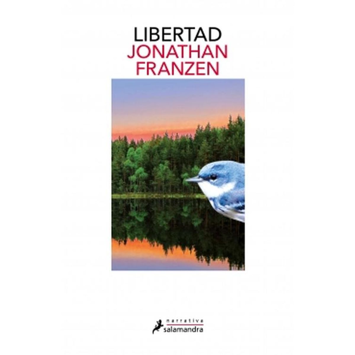 SALAMANDRA - Libro Libertad - Jonathan Franzen