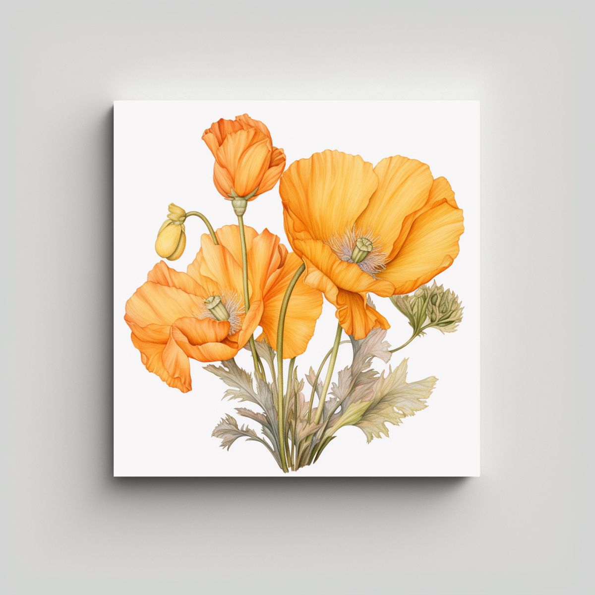 GENERICO - Bastidor Vanguardia Intenso California Amapola 100x100 Cm