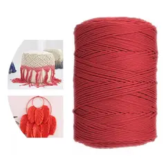 ATURE - Cuerda Trenzada De Bricolaje Hecha A Mano 3mm500m Algodón