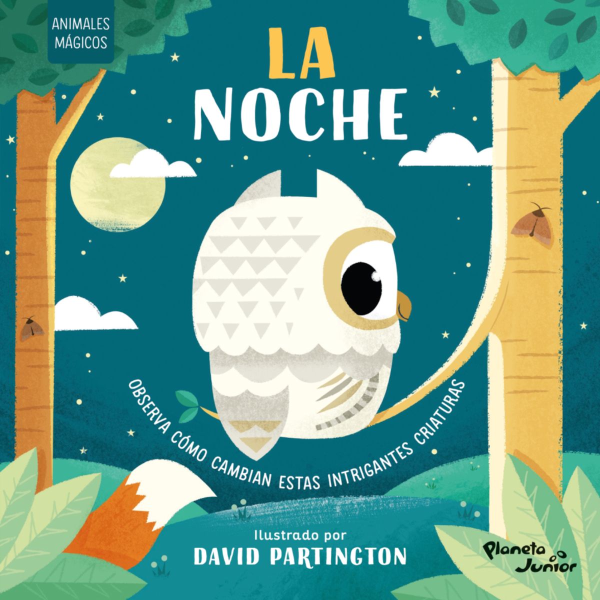 PLANETA JUNIOR - Animales Mágicos. La Noche