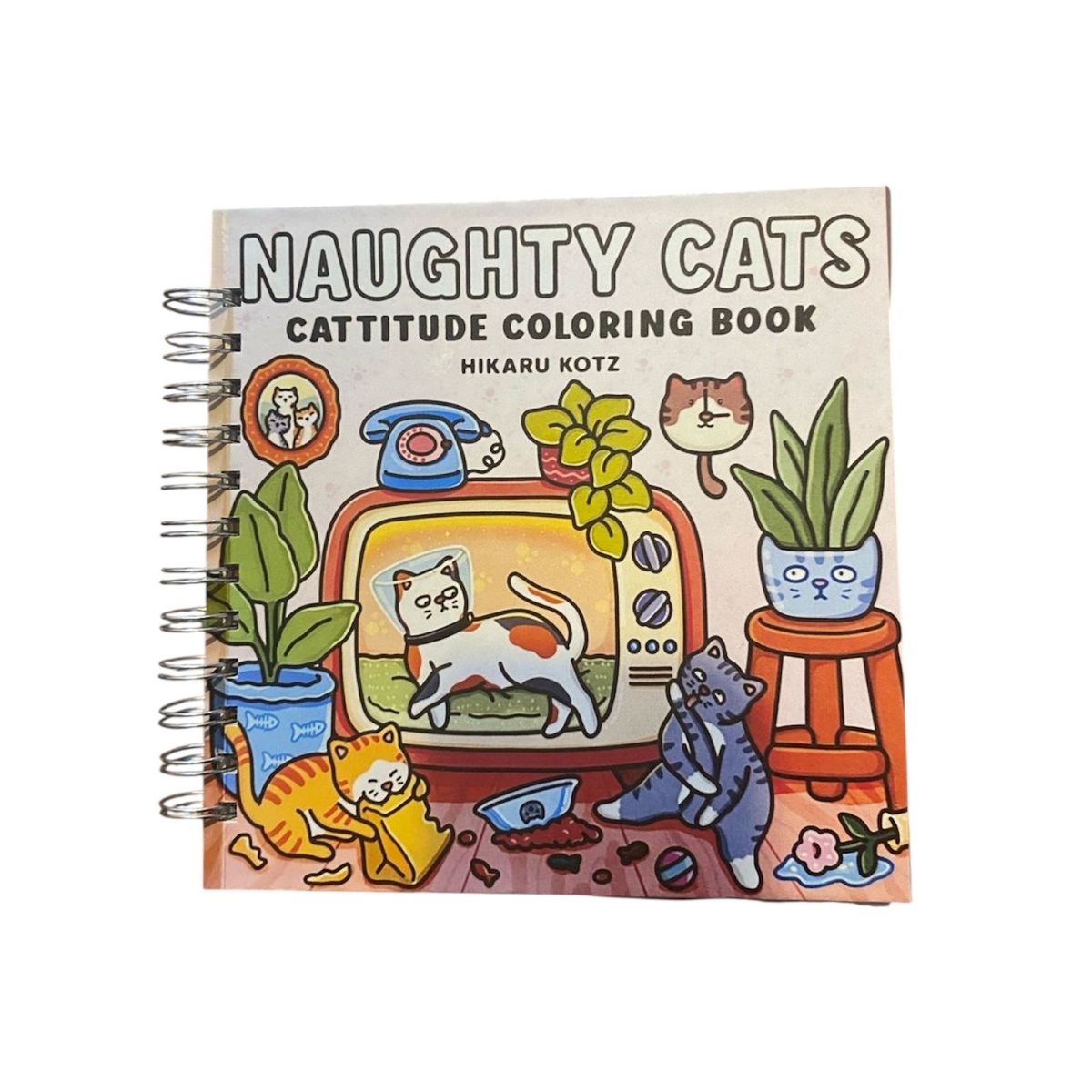 GENERICO - Libro Colorear Naugthy Cats