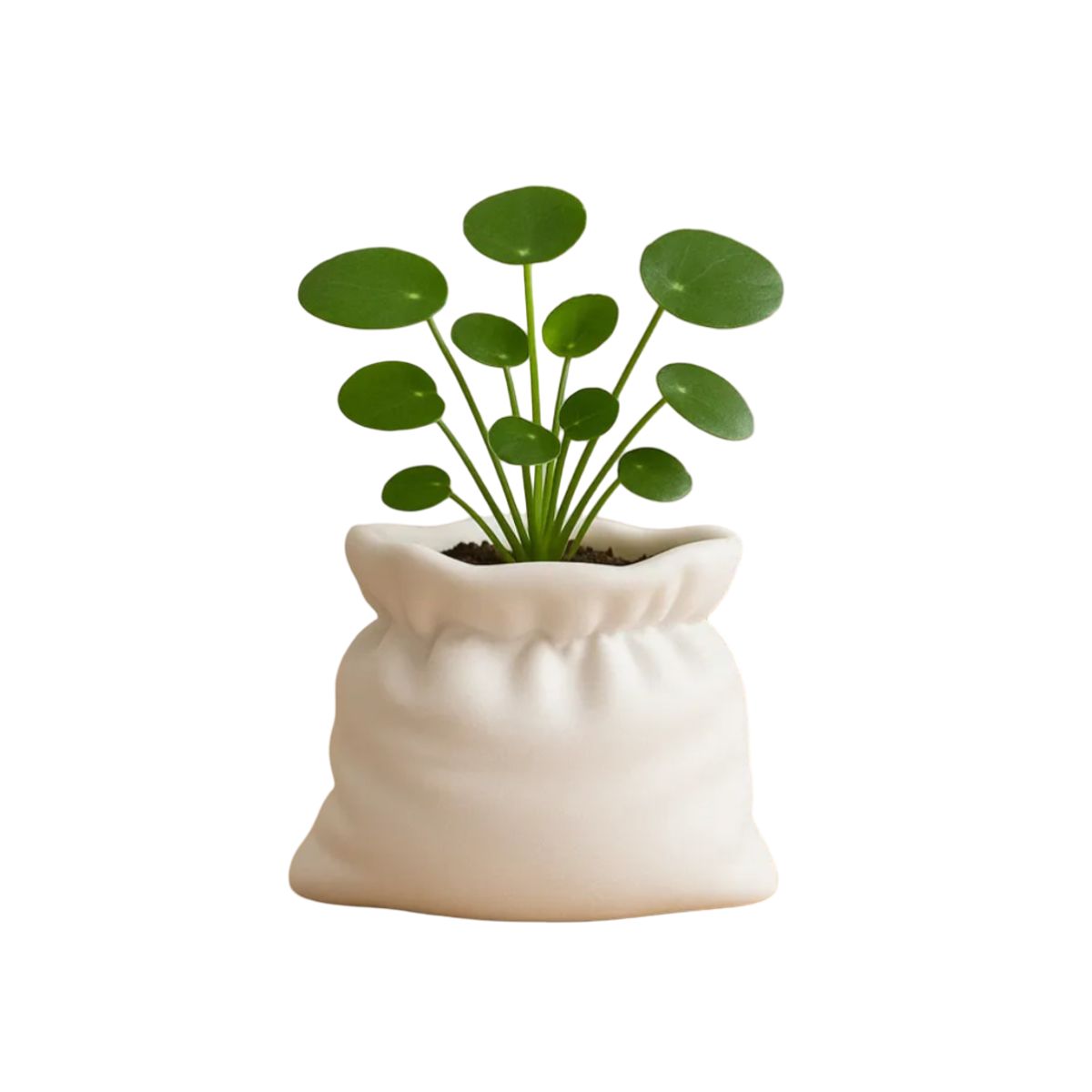 GENERICO - Macetero - Diseño Bolsa