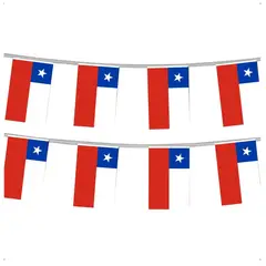 GENERICO - X5 Guirnaldas Banderines Fiestas Patrias Decoración Chile 3mts