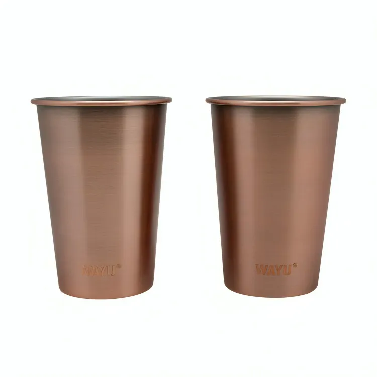 SET 2 VASOS 500ML COPPER LINE