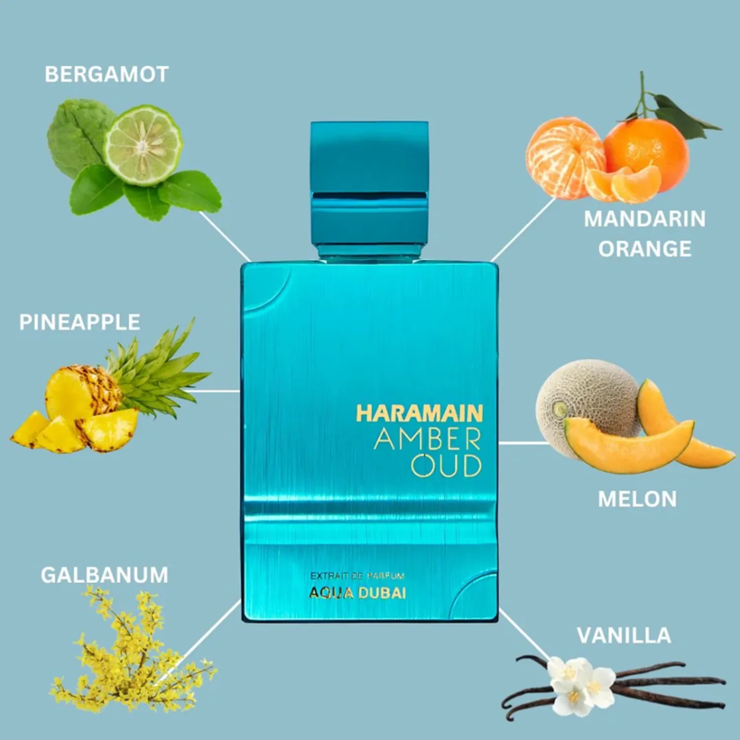 AL HARAMAIN Al Haramain Amber Oud Aqua Dubai Extrait De Parfum 100