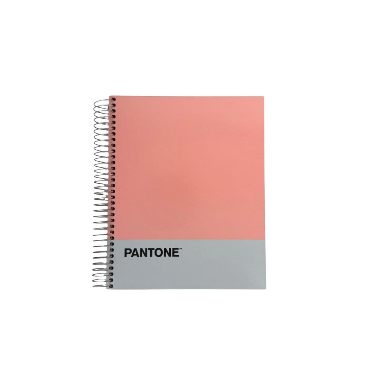 GENERICO - Cuaderno Medio Oficio (17x21,2cm) 150 Hojas. Pantone - Coral claro