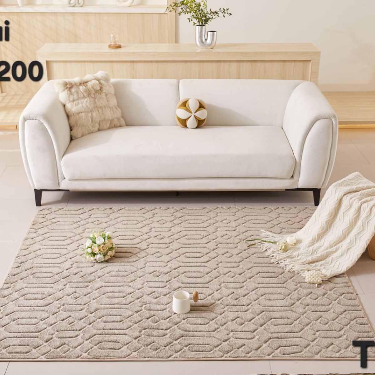 GENERICO - Alfombra Decorativa - Tapete Tejido Jacquard 160x200cm Beige 03