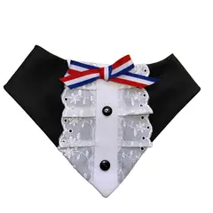 GENERICO - Bandana Disfraz para Perritas y Gatas - Huasa Elegante XS