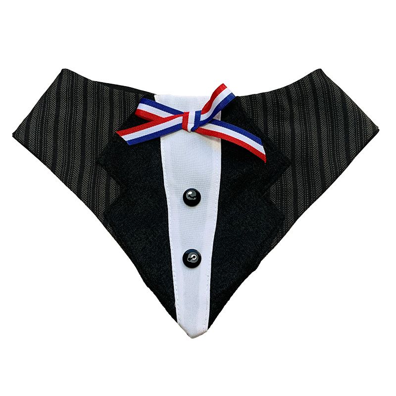 GENERICO - Bandana Traje de Huaso Elegante para Perros - XL