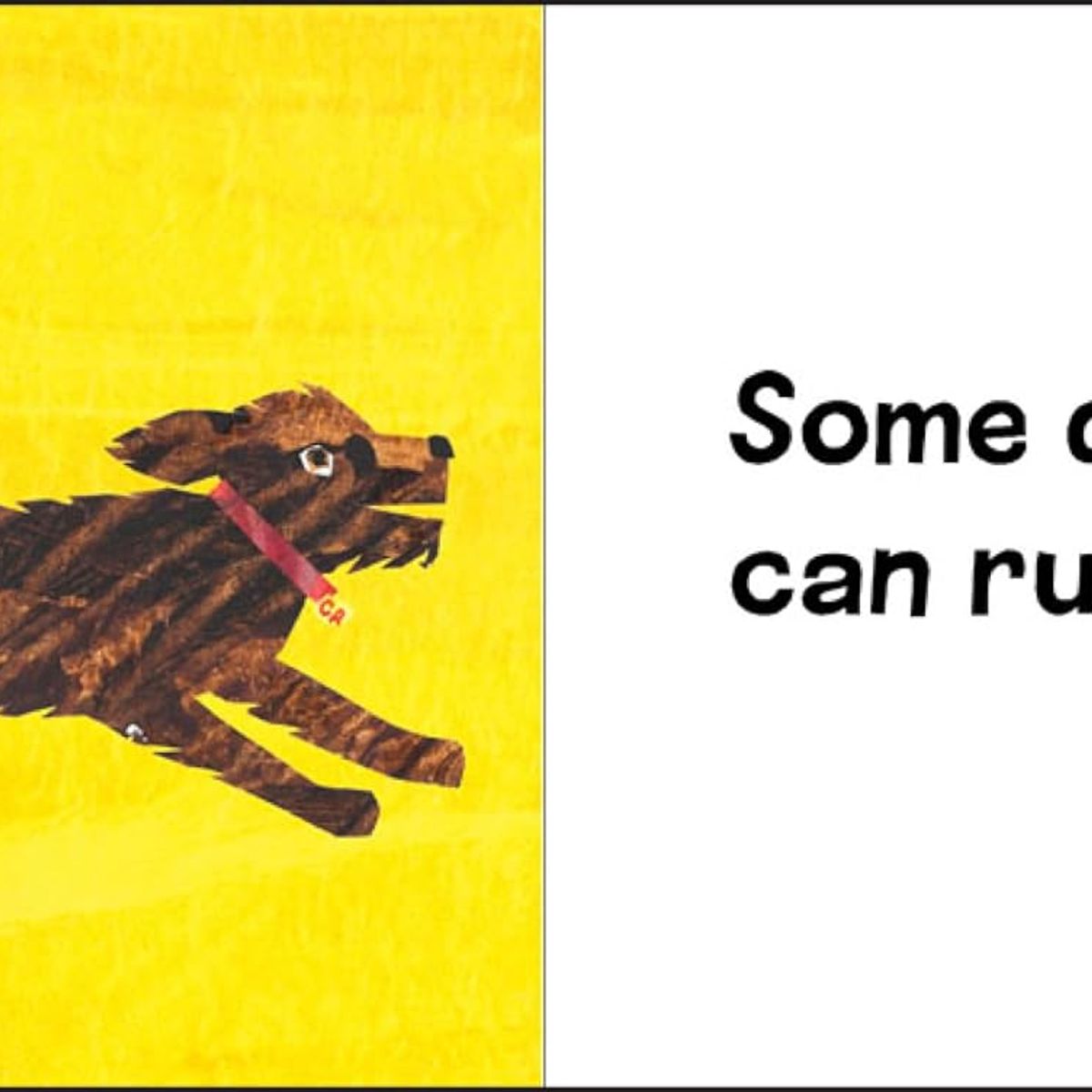 PI KIDS - Libro Inglés Eric Carle 12 Libros de Animales Hardcover