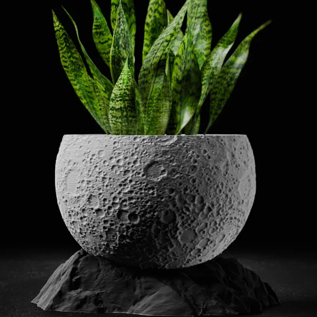 GENERICO - Macetero Lunar con Base