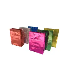 GENERICO - Bolsa de Regalo Holeo Colores Surtidos 11x8 cm 12 Unidades