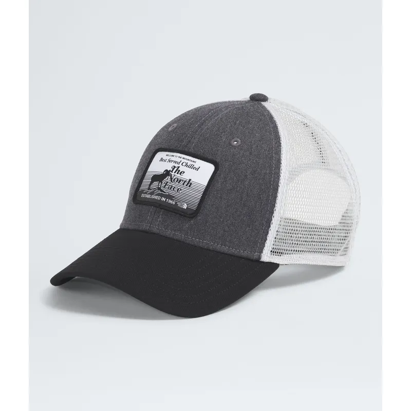 THE NORTH FACE - Jockey Graphic Mudder Trucker Gris