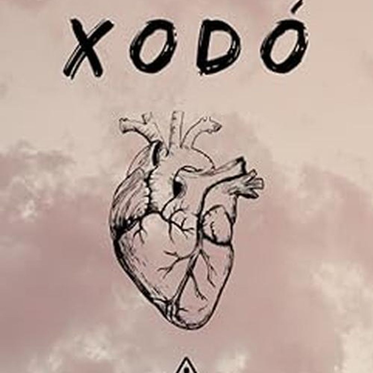 GENERICO - Libro Xodó - Faty Salinas, Jairo Guerrero