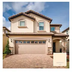 BAUM - TINETA PINTURA ESMALTE AL AGUA - DAMASCO 4-P