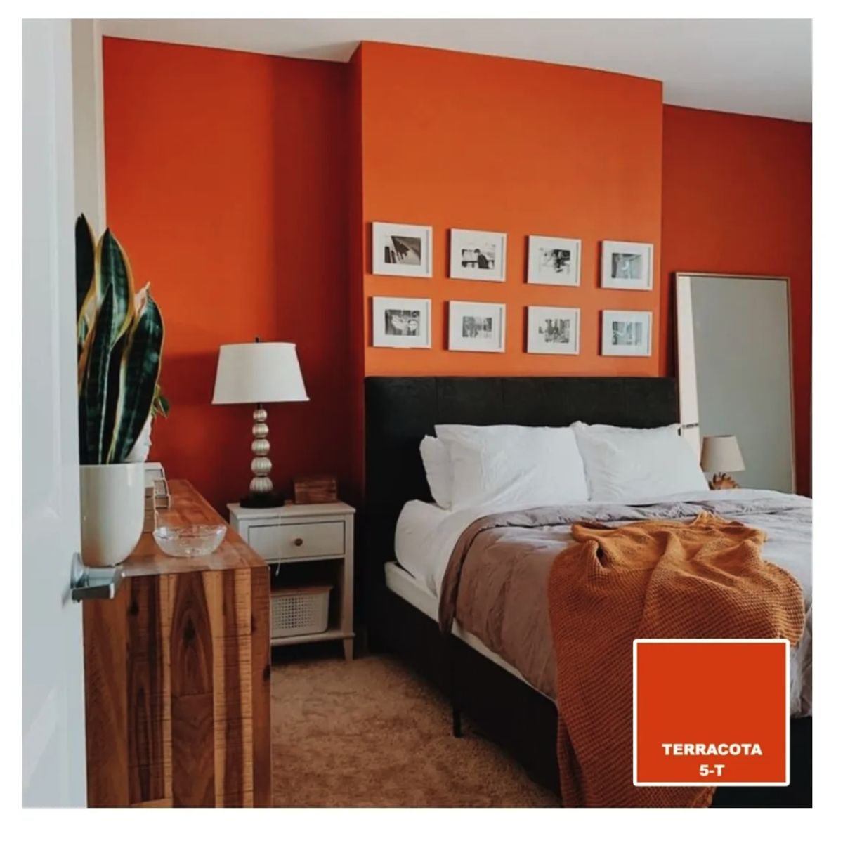 BAUM - TINETA PINTURA ESMALTE AL AGUA - TERRACOTA 5-T