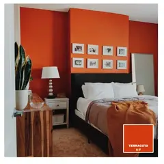 BAUM - TINETA PINTURA ESMALTE AL AGUA - TERRACOTA 5-T