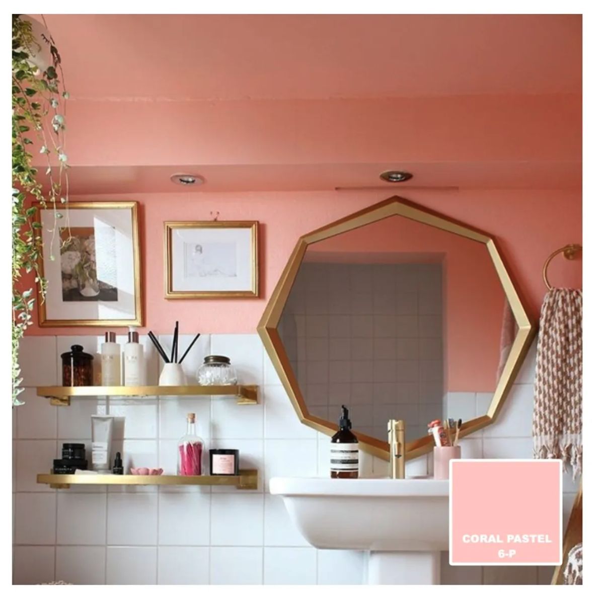 BAUM - TINETA PINTURA ESMALTE AL AGUA - CORAL PASTEL 6-P