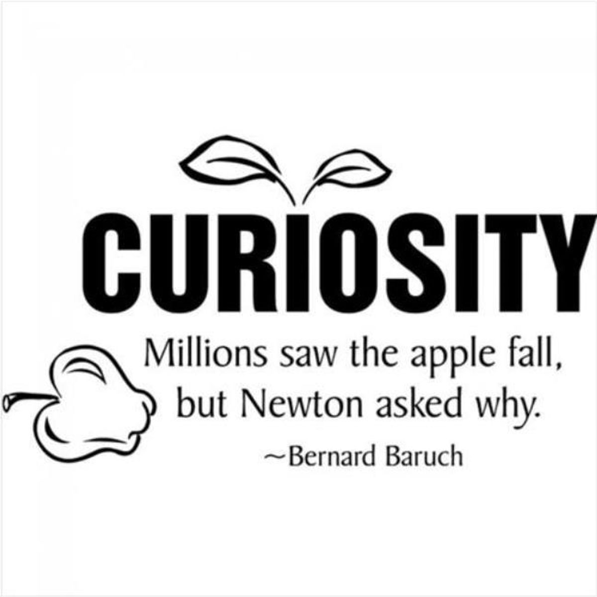 GENERICO - Decomural Curiosity Bernard Baruch WS-15071