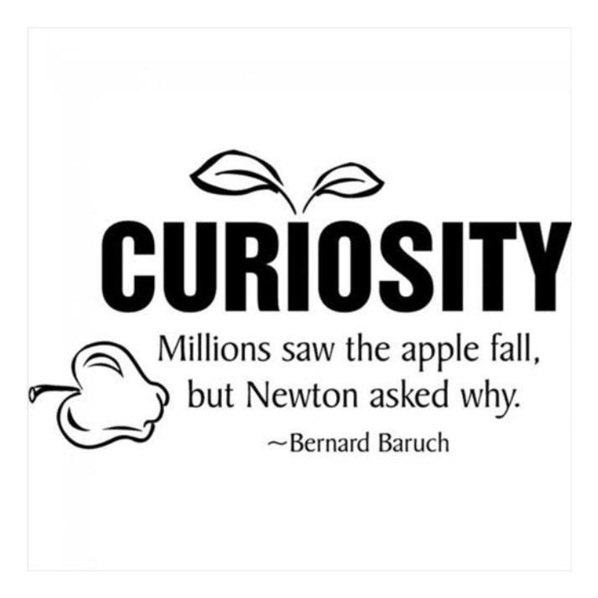 GENERICO - Decomural Curiosity Bernard Baruch WS-15071