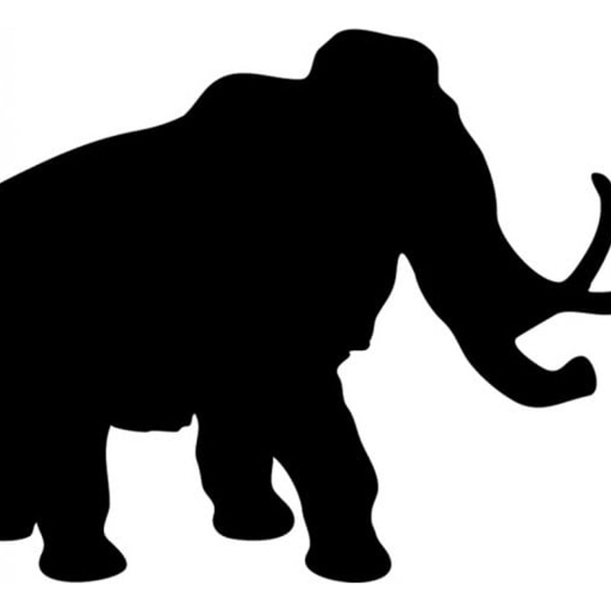 GENERICO - Decomural Woolly Mammoth WS-15259