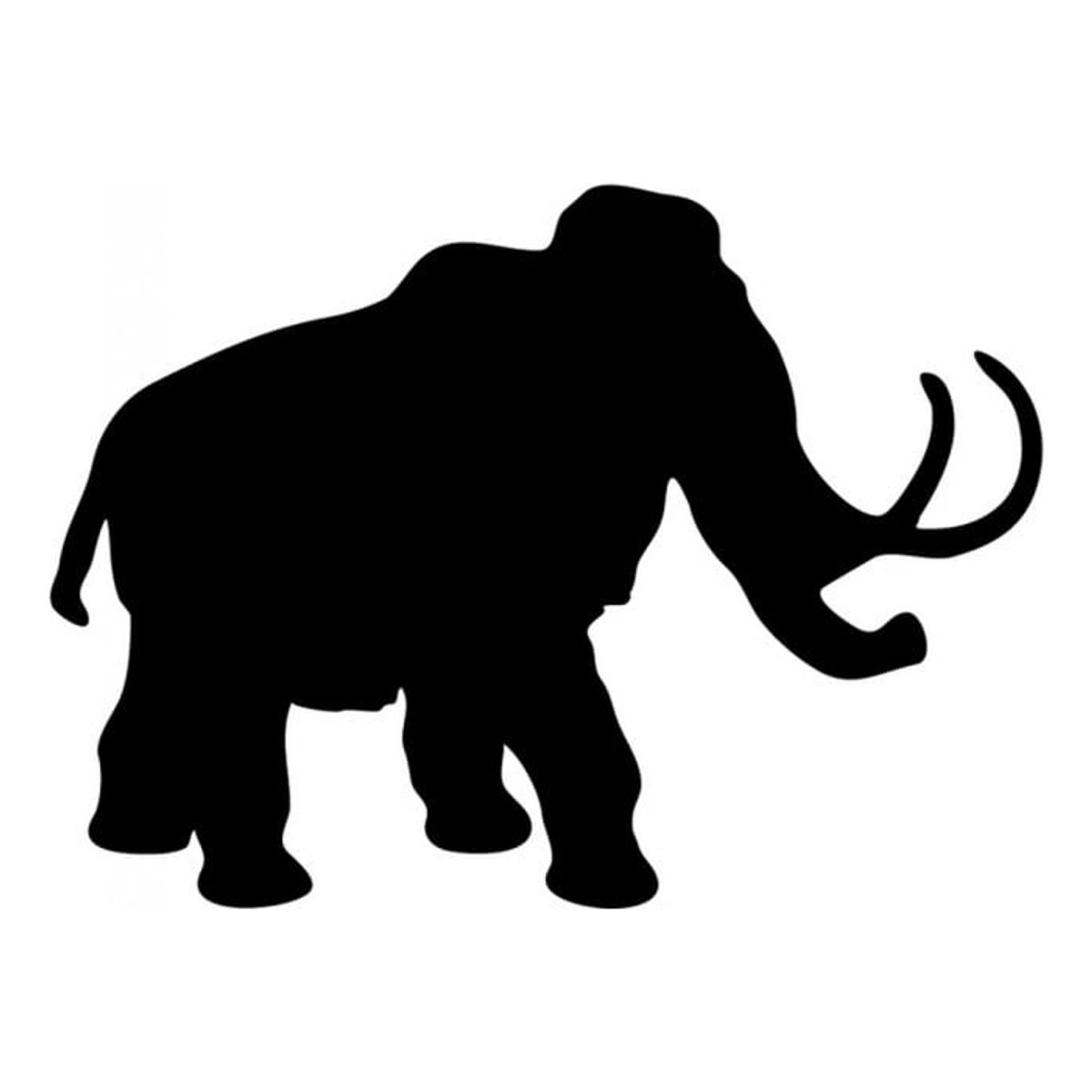 GENERICO - Decomural Woolly Mammoth WS-15259