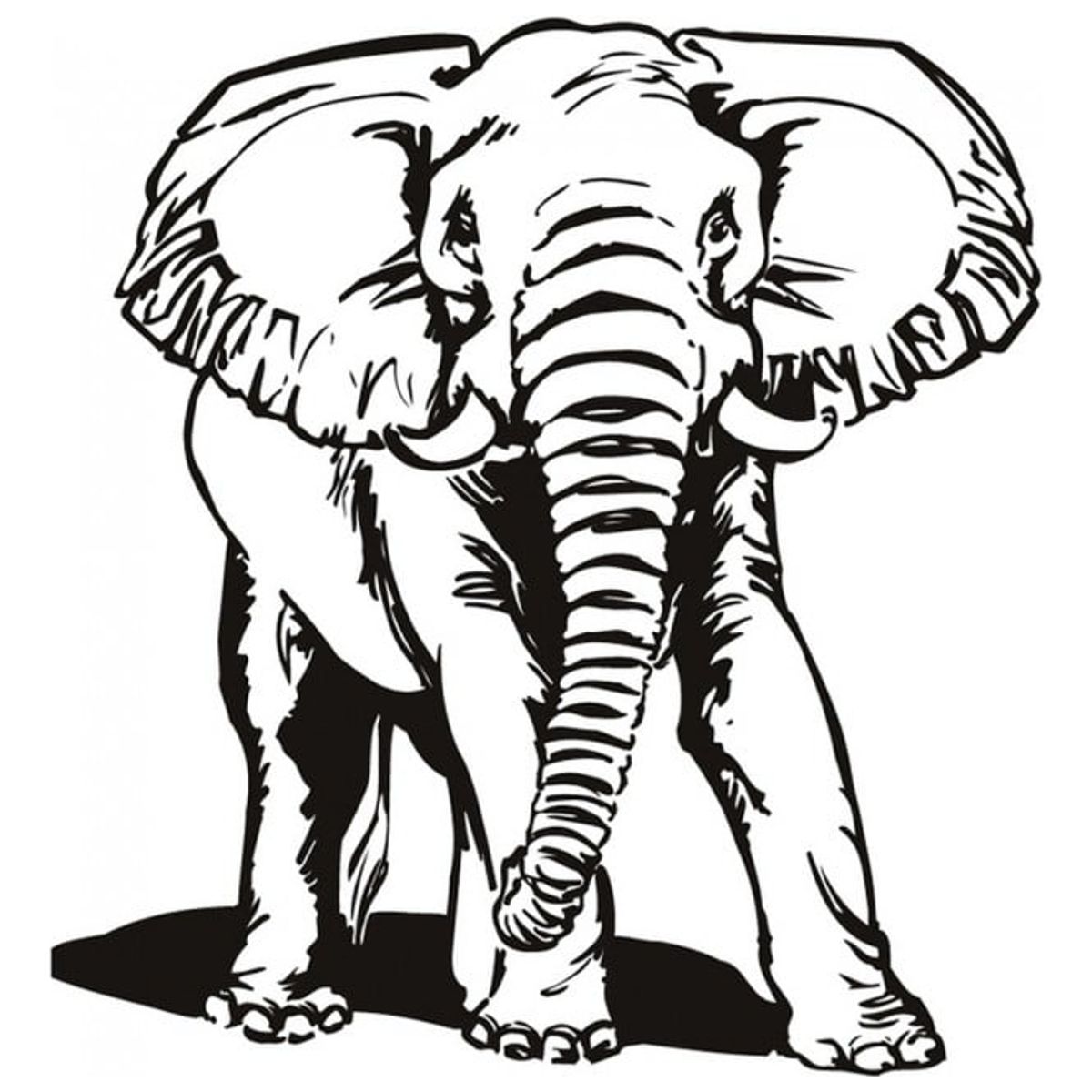 GENERICO - Decomural African Elephant WS-15485