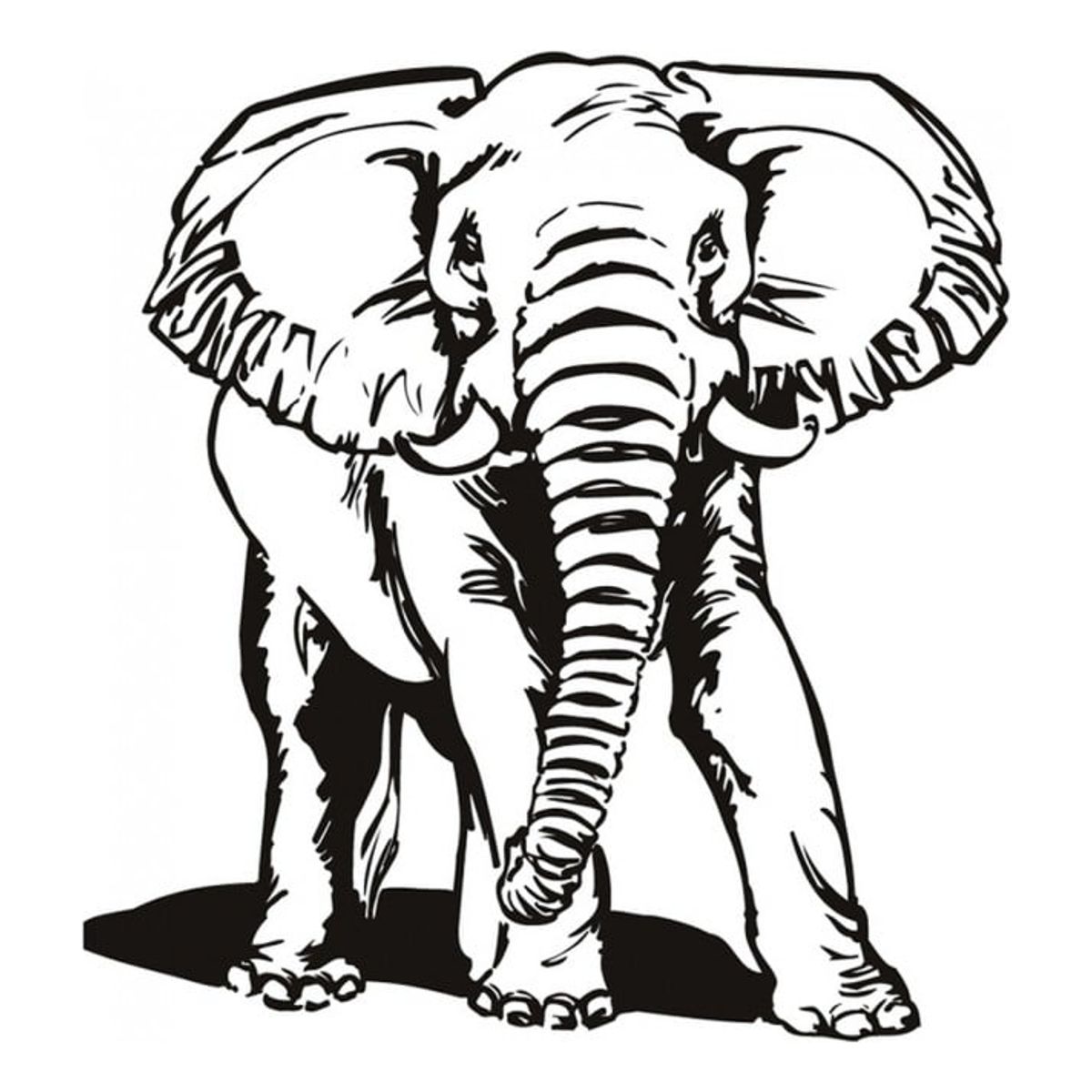 GENERICO - Decomural African Elephant WS-15485